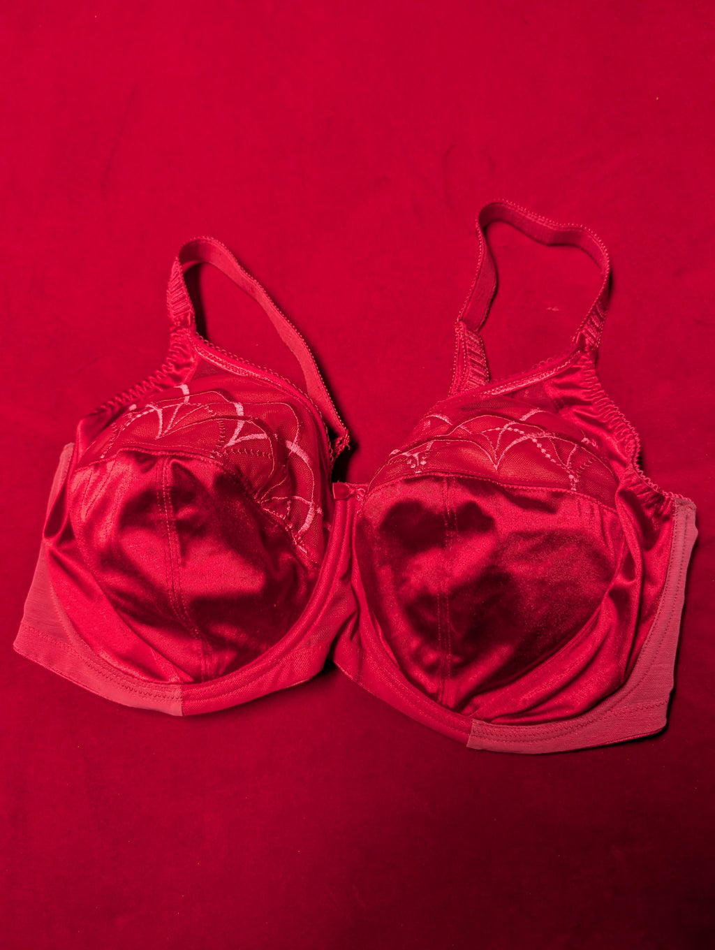 Elomi Retro Chic Embroidered Red Bra 36H