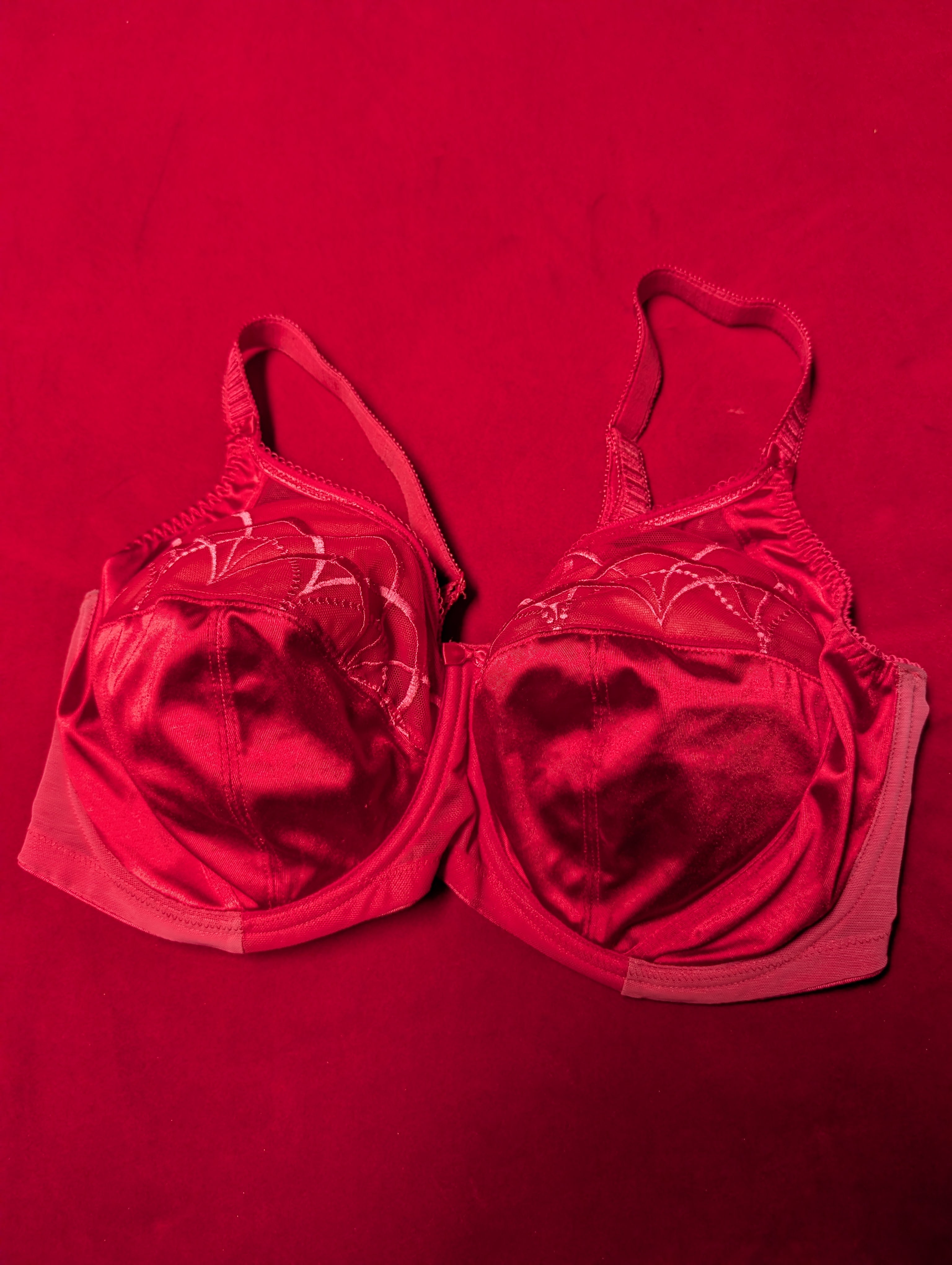 Elomi Retro Chic Embroidered Red Bra 36H