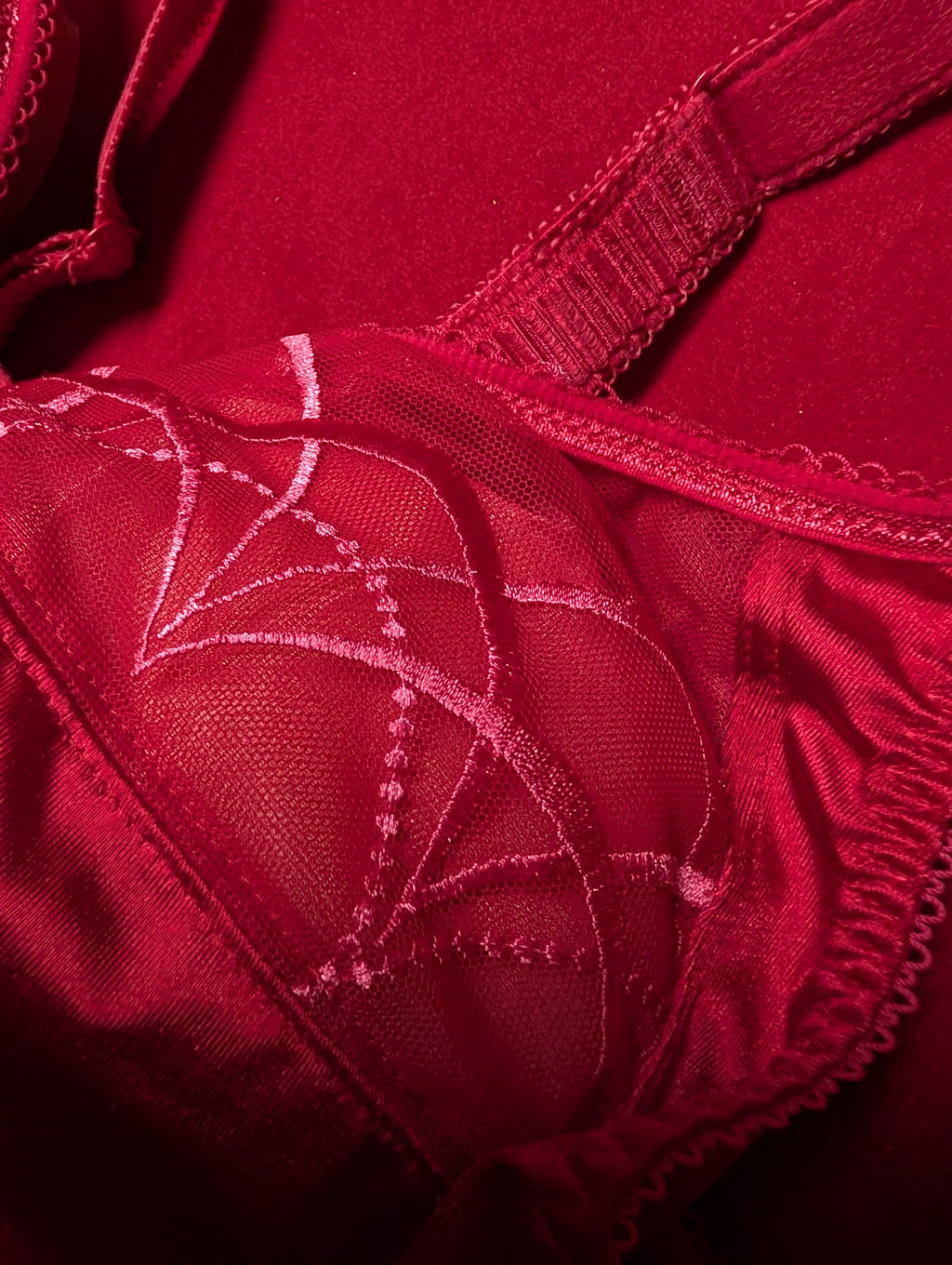 Elomi Retro Chic Embroidered Red Bra 36H