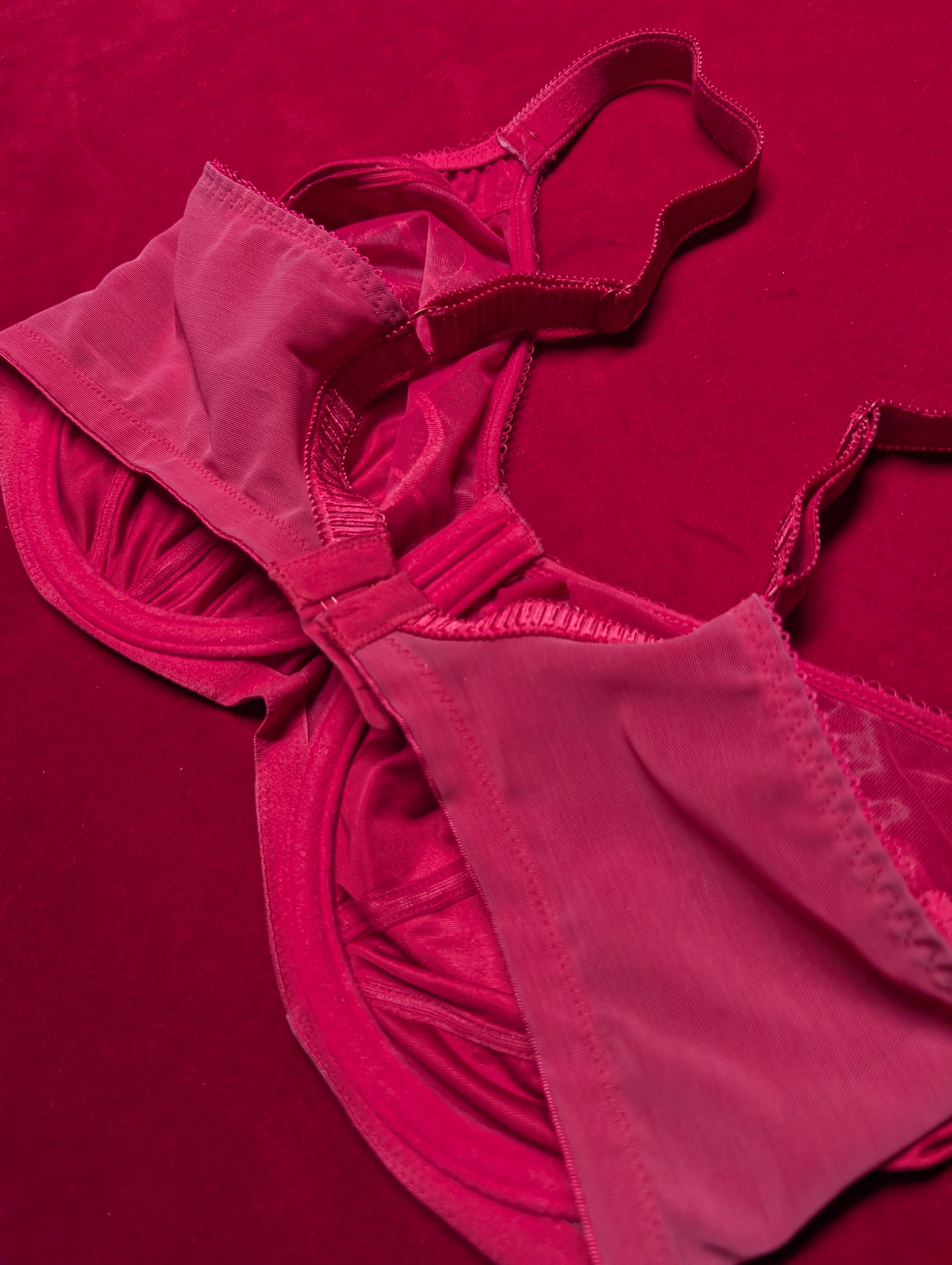 Elomi Retro Chic Embroidered Red Bra 36H