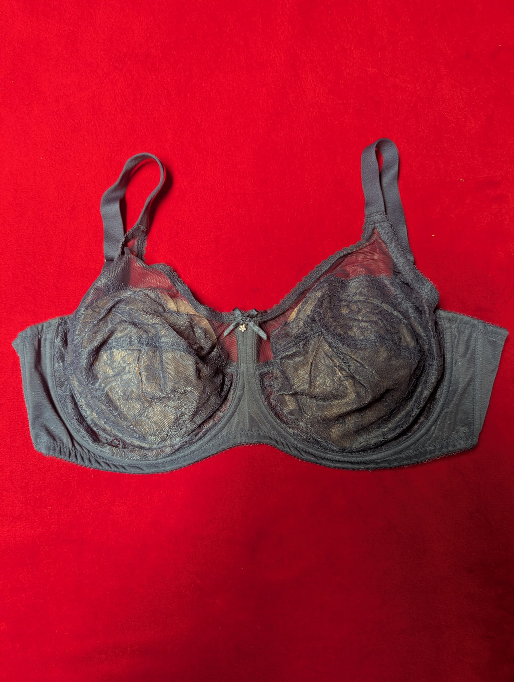 Wacoal Retro Chic Navy Blue Lace Bra 36G