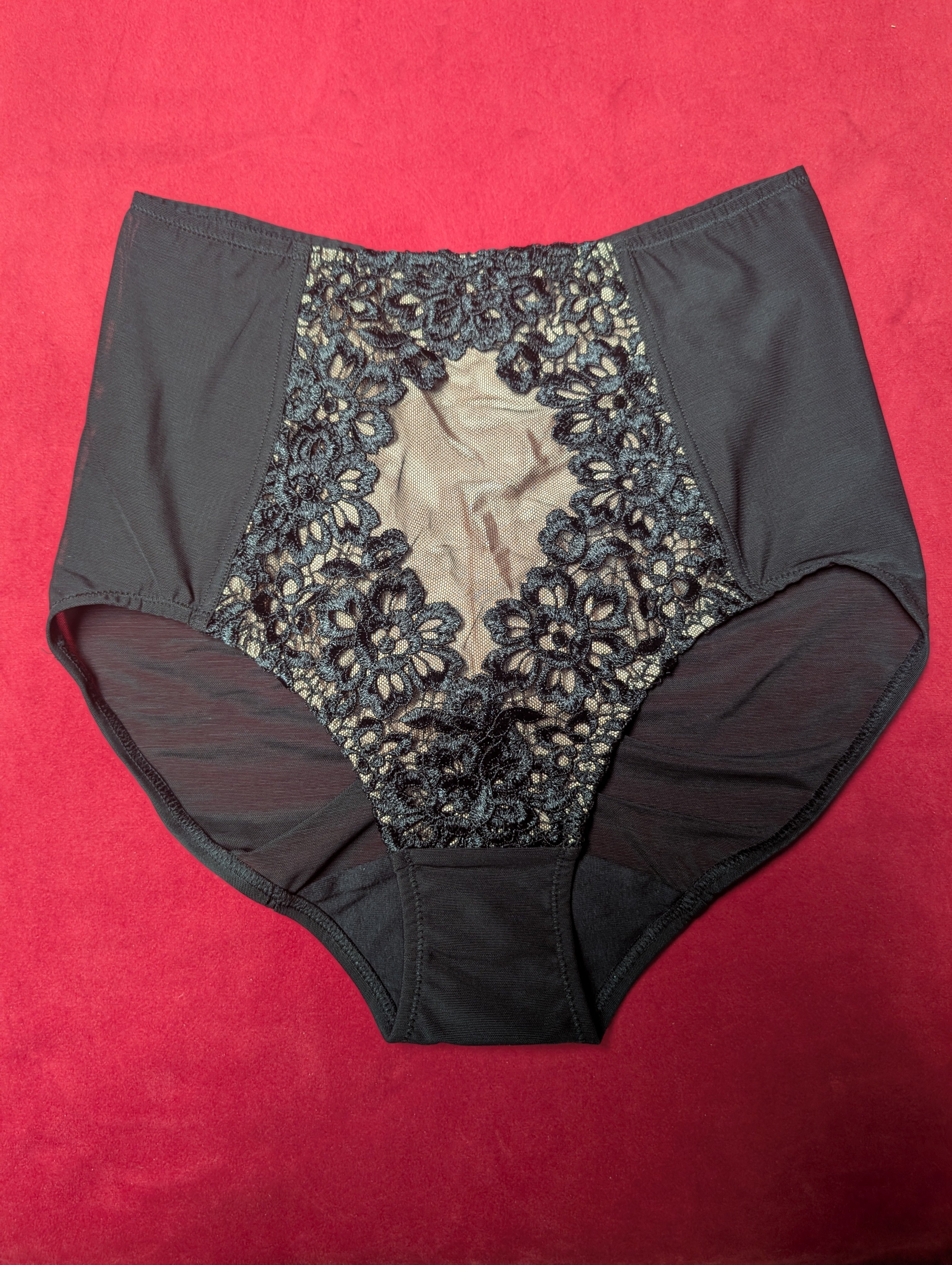 Dita Von Teese Black Dahlia Embroidered Control Brief Small and Medium