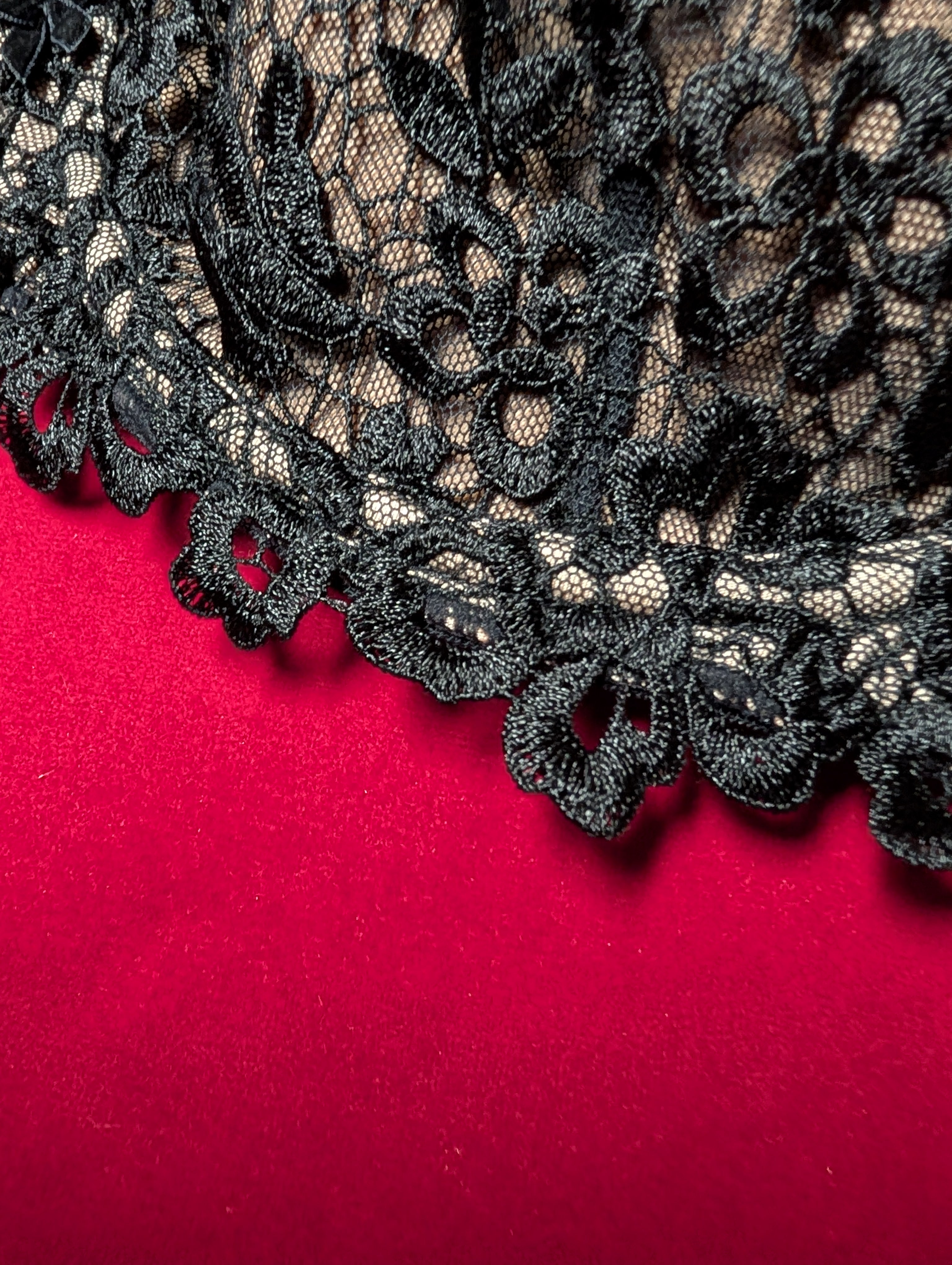 Dita Von Teese Black Dahlia Caged Embroidered Bra 36H