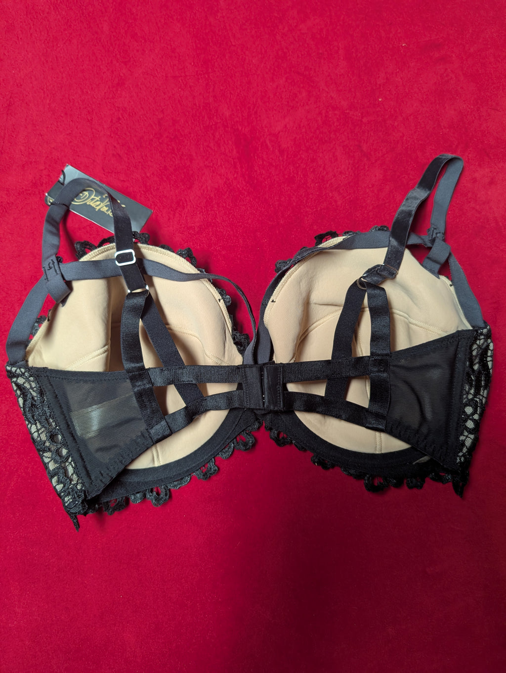 Dita Von Teese Black Dahlia Caged Embroidered Bra 36H