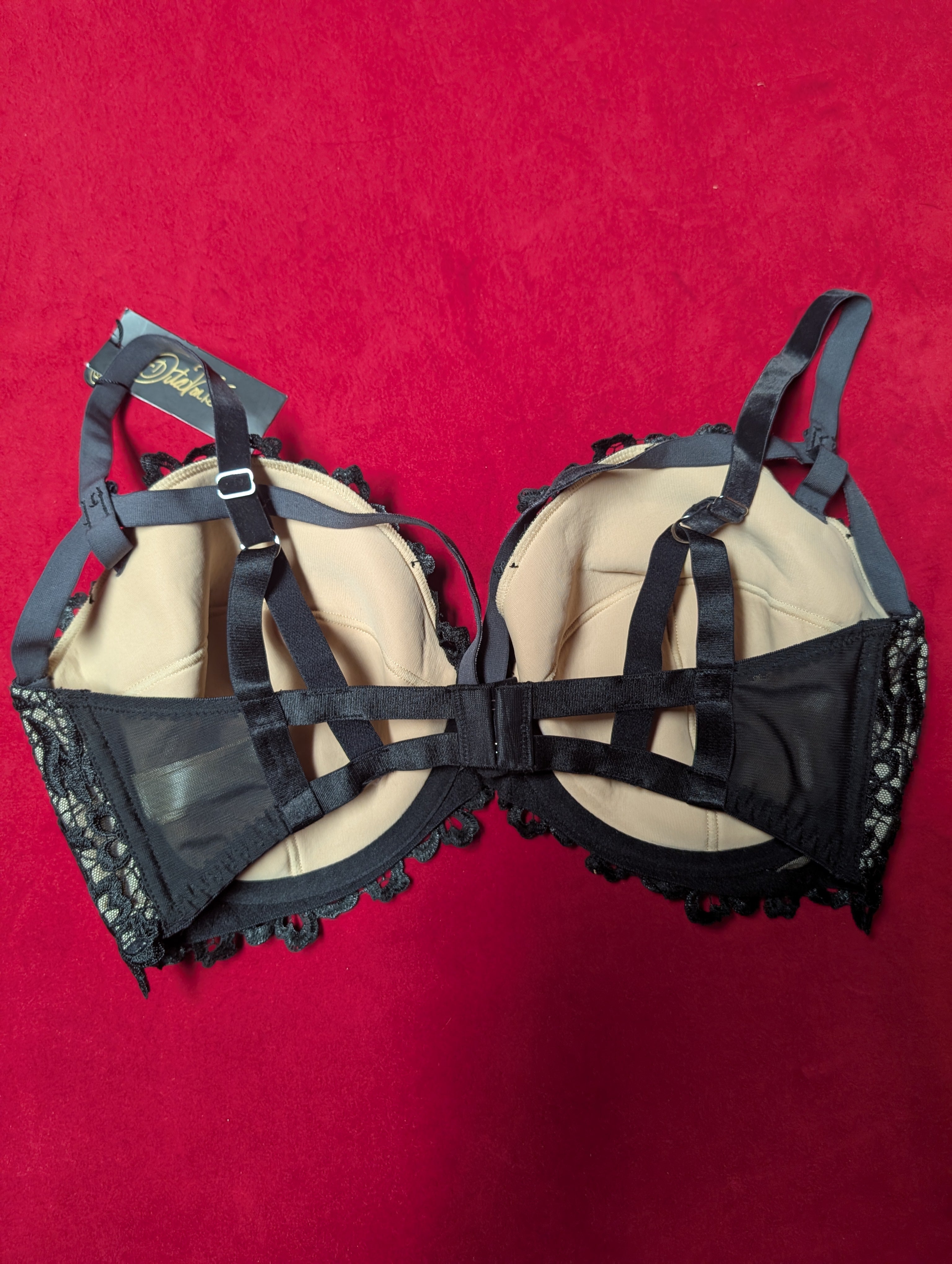 Dita Von Teese Black Dahlia Caged Embroidered Bra 36H
