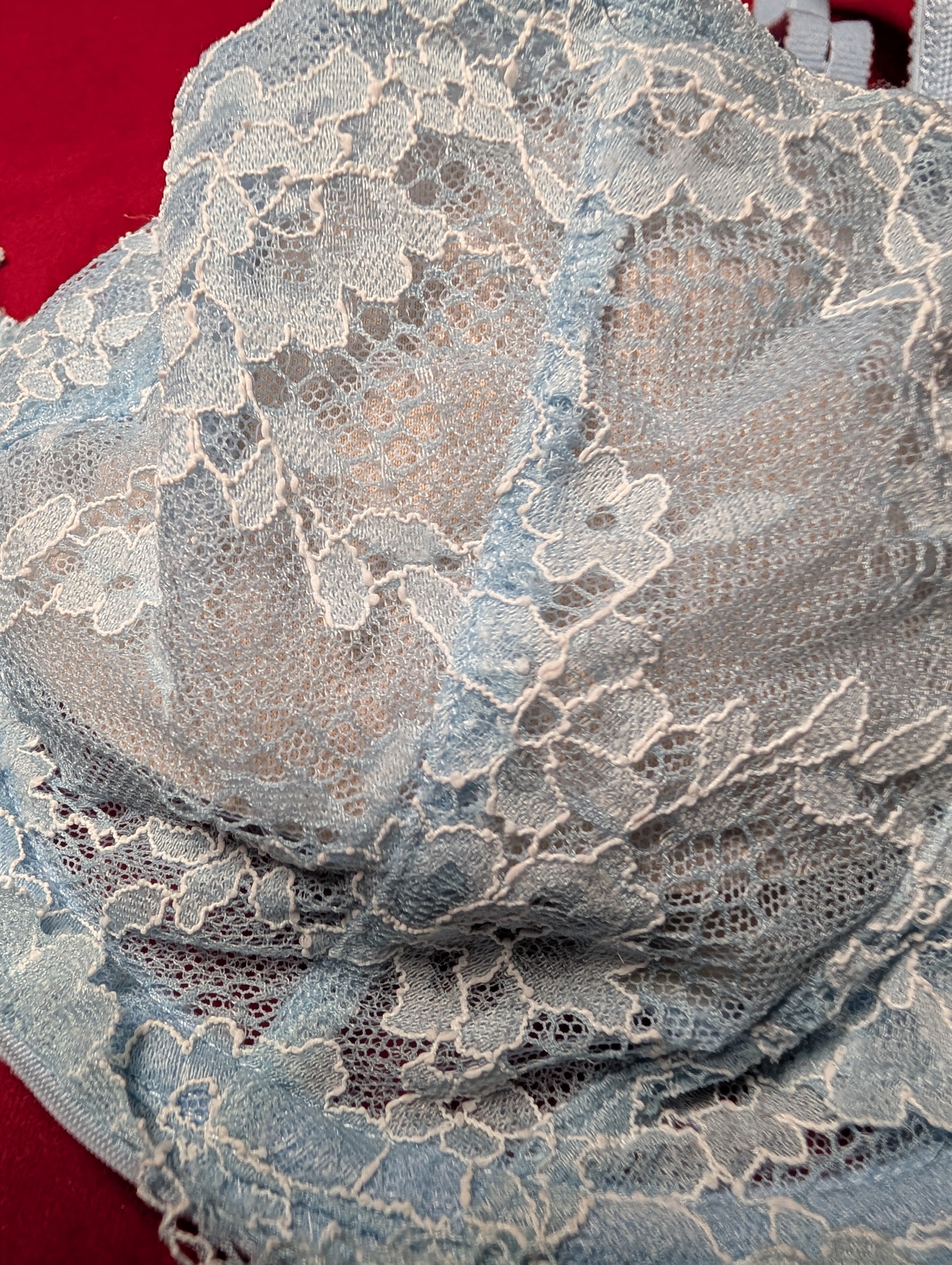 Camio Mio Unlined Comfort Lace Sky Blue Bra 36H