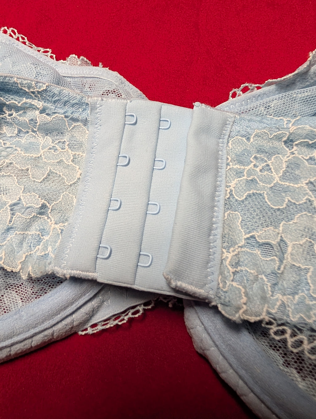 Camio Mio Unlined Comfort Lace Sky Blue Bra 36H