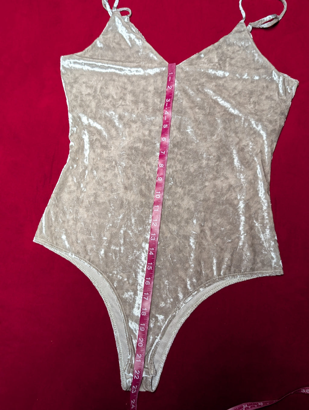 Fashion Nova Silver Vanilla Frosted Velvet Bodysuit in Large
