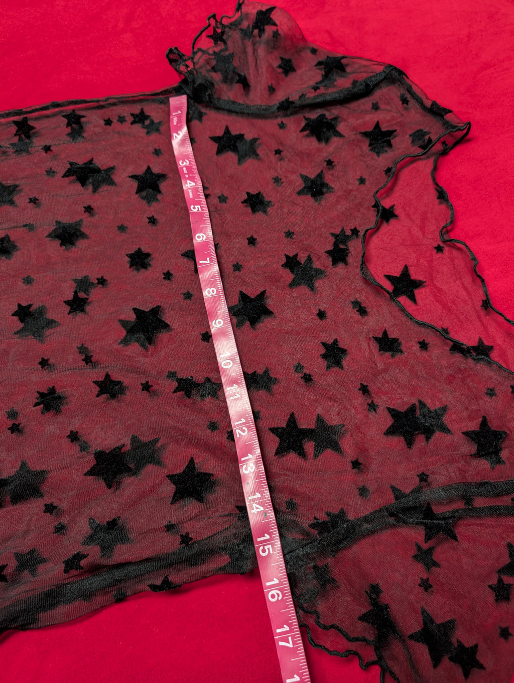 Sheer Mesh & Velvet Burnout Starry Mini Dress
