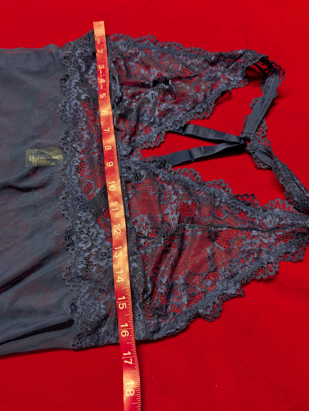 Sheer Lace Halter Navy Blue Mesh Babydoll Chemise in 3XL