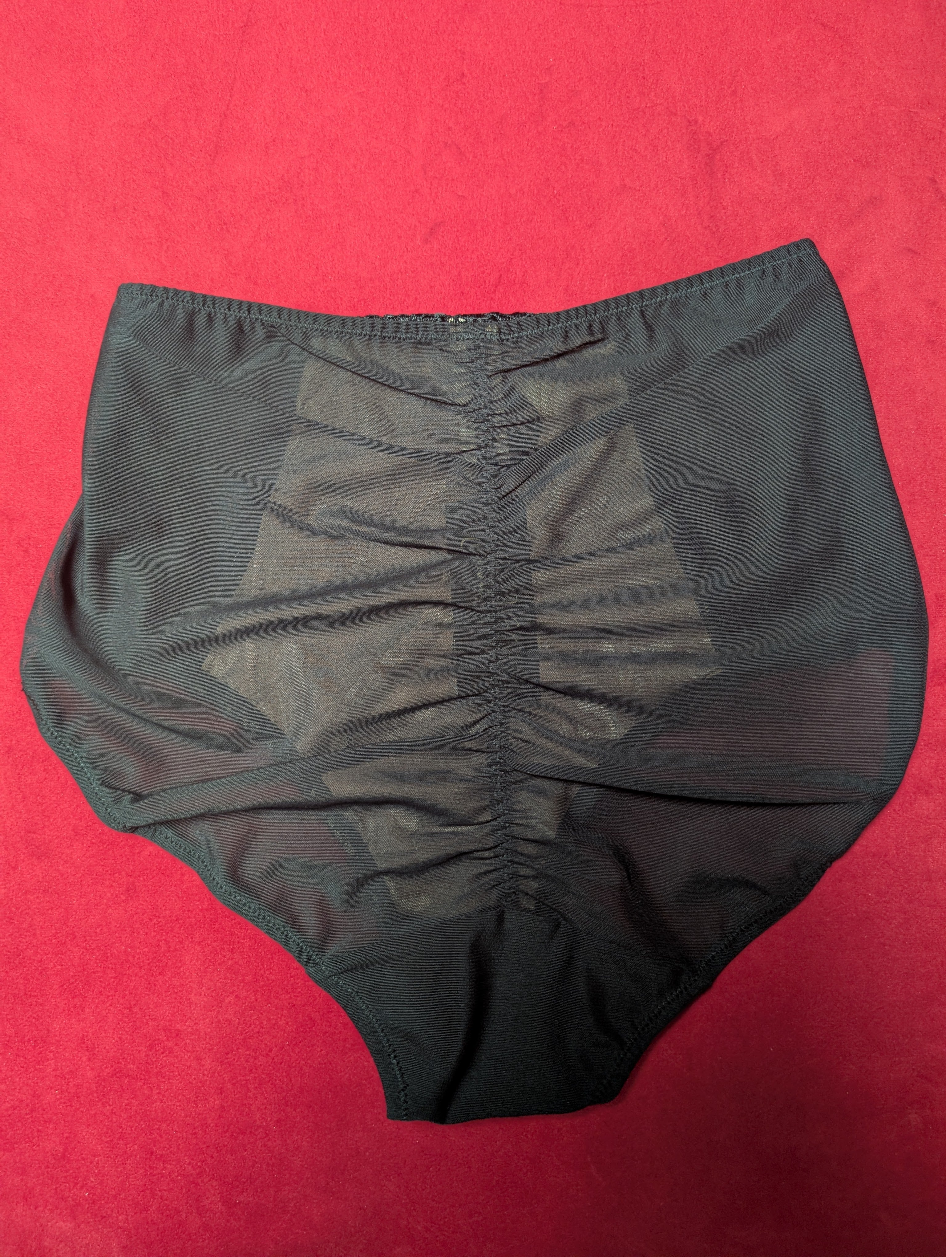 Dita Von Teese Black Dahlia Embroidered Control Brief Small and Medium
