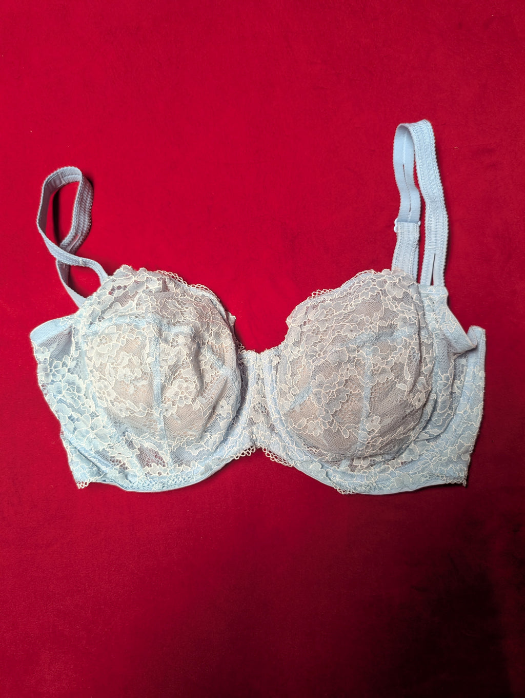 Camio Mio Unlined Comfort Lace Sky Blue Bra 36H