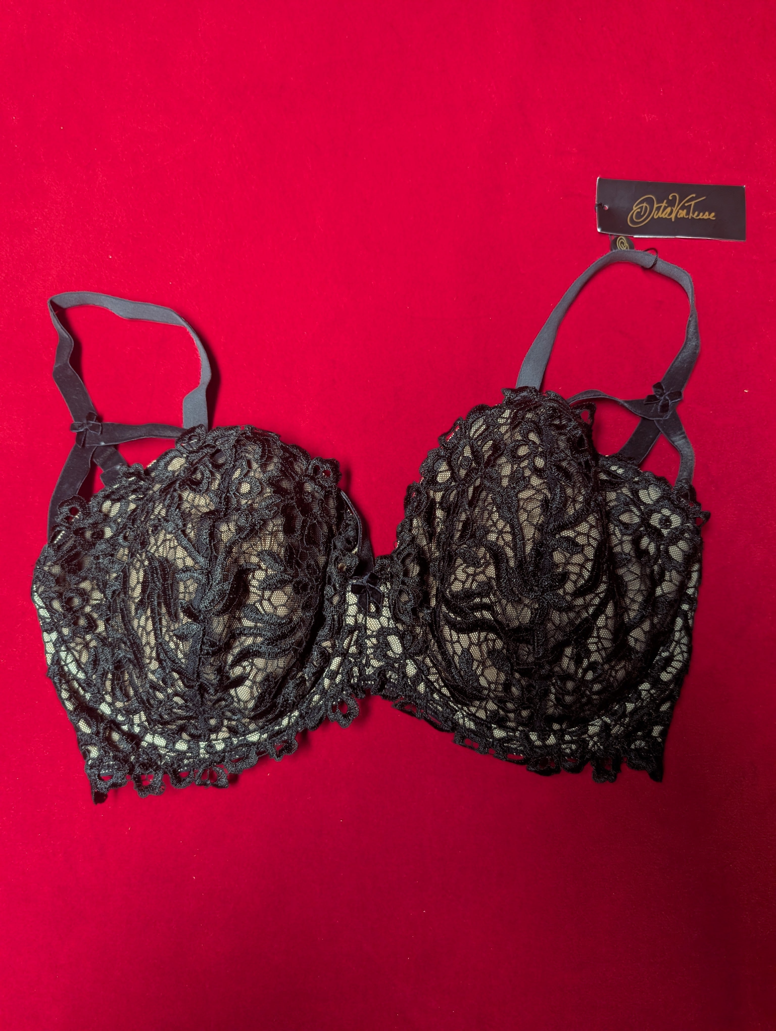 Dita Von Teese Black Dahlia Caged Embroidered Bra 36H